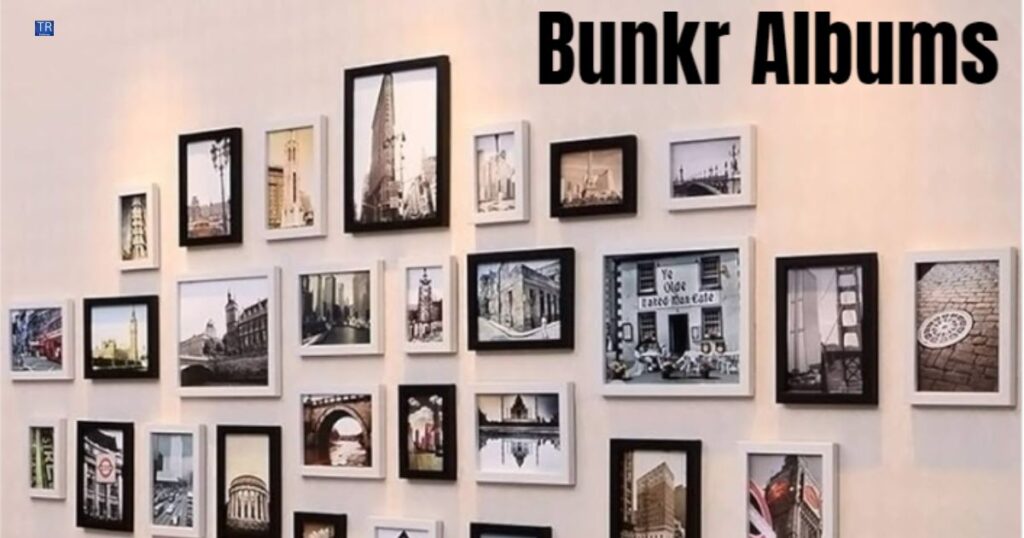 Bunkr Albums 