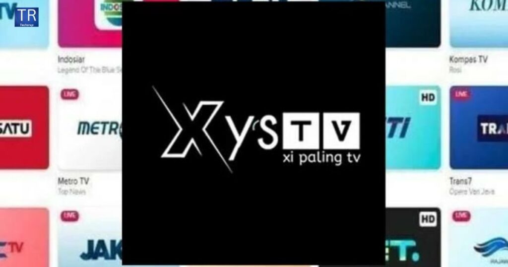 Feature Analysis in Xystv APK Latest Version