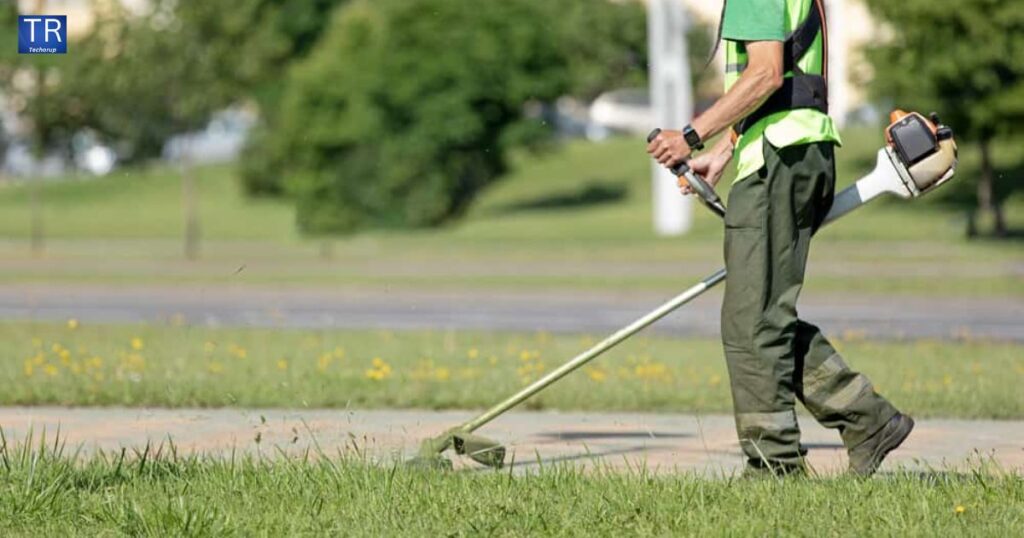 Maintaining Your Garden Edging: Tips for Longevity